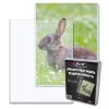 BCW 6"x8" Photograph Toploader (25ct) 1 BCW 6"x8" Photograph Toploader (25ct) -Card Sale Store 1 tlch 6x8 1 b