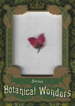 2019 Upper Deck Goodwin Champions - Mega Box -Card Sale Store 2019 Upper Deck Goodwin Champions Botanical Wonders