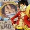 One Piece TCG Playmat - Style #2 Mokey.D.Luffy