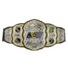 JAZWARES AEW Wrestling - Roleplay Championship Belt -Card Sale Store AEW0068 AEW World Championship Belt Fig 02 OP web 1024x1024 1