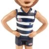 AFL Bobblehead - Tom Hawkins Geelong Cats -Card Sale Store bobblehead afl geelong cats tom hawkins 92123 f2cf3